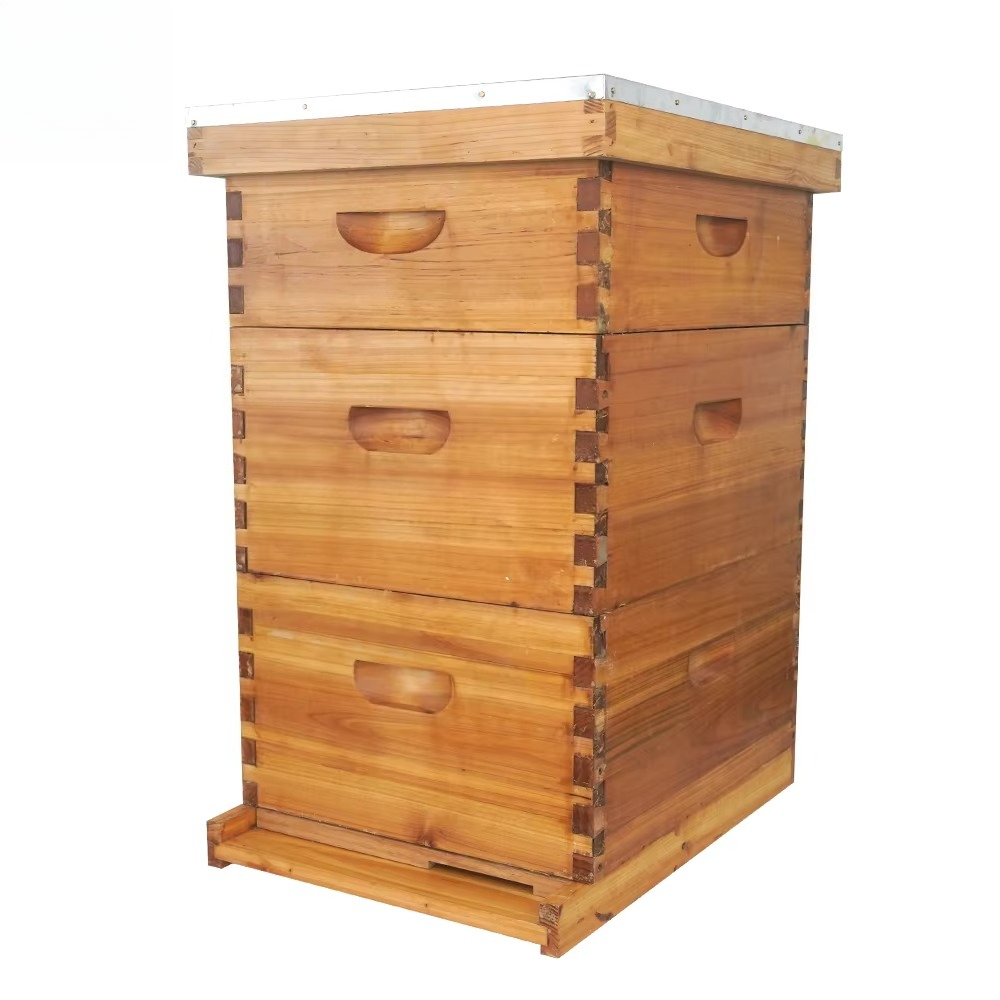 Beehive Frame Wax - خلية نحل لانجستروث كاملة من 3