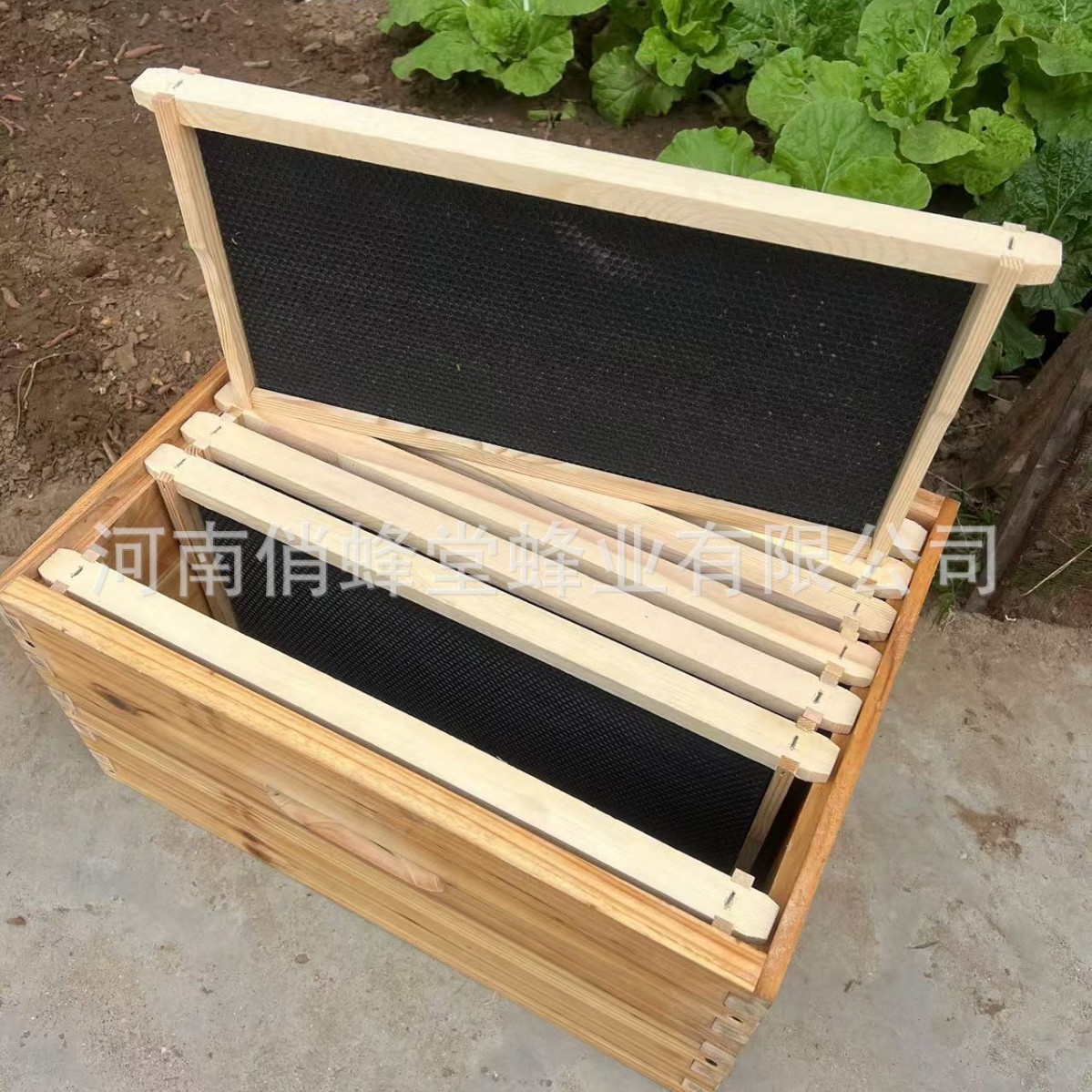 أدوات تربية النحل: قاعدة خلية  - مراجعة Beehive Frame Wax وسعره