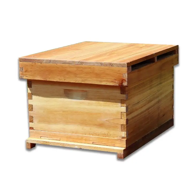 خلية نحل من شمع مغلي بعشرة إطا - مراجعة Beehive Frame Wax وسعره