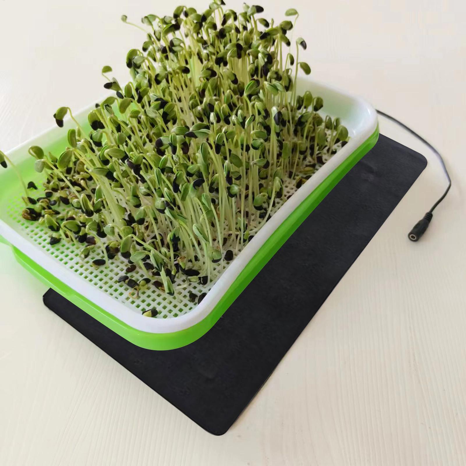 بساط حراري للشتلات 5 فولت 2 أم - مراجعة Seedling Heat Mat وسعره